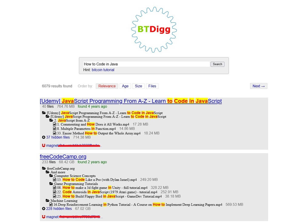 The BTDigg interface is little more than a search box. 